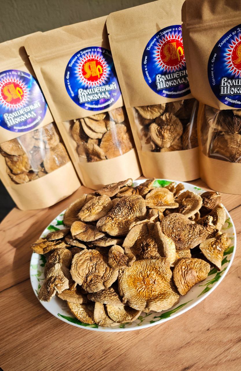 Пантерный Мухомор